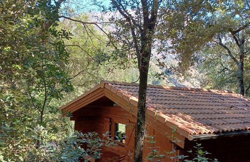 Calenzana Ski Chalet | Chalet de Location au Cœur de la Forêt. Randonnées Entre Rivière et Montagne