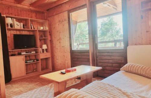 Puyvalador Ski Chalet | Chalet Des Oursons, Capcir Pyrénées Catalanes