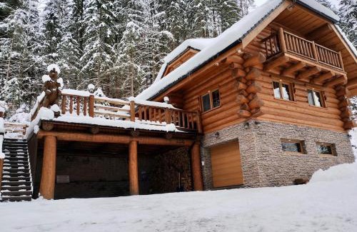 Bystra Ski Chalet | Chalet Durik Bystra - Jacuzzi - Sauna - In the forest - 10 min walk to restaurant - On hiking trail