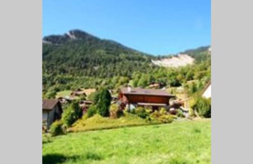 Volleges Ski Chalet | Chalet Edelweiss - Verbier, Mountain Views, Jacuzzi!