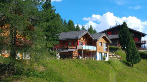 Riederalp Apartment | Chalet Enzian