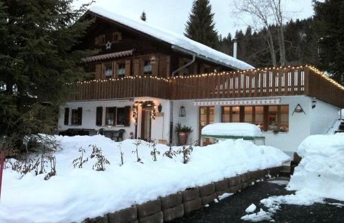 Untersteckholz Apartment | Chalet Erika