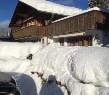 Untersteckholz Apartment | Chalet Erika