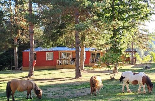 Camurac Other | Chalet et mobil homes dans la montagne au Camping les Sapins