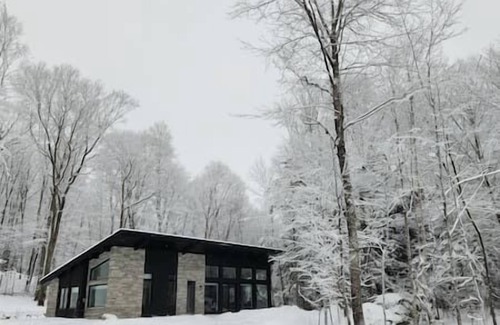 Lac Superieur Village House | Chalet FEU en pleine nature à Tremblant.