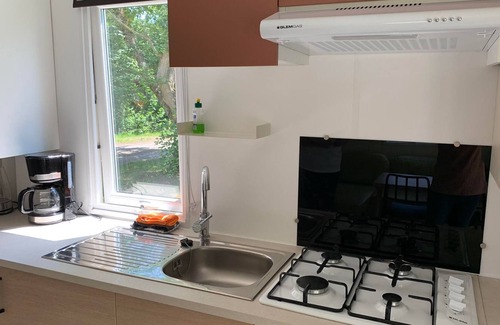 Mittelhof Apartment | Chalet Feuersalamander - Camping in the oak forest - Camping - Chalets
