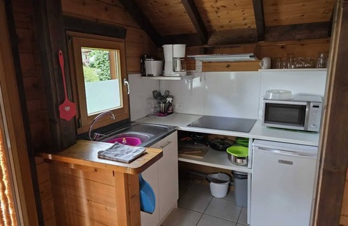 Saint-Jean-Saint-Nicolas Ski Chalet | Chalet - Piscine - ccbbeag
