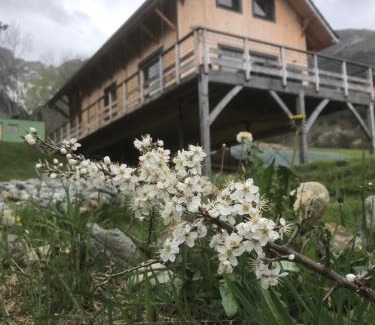 Le Noyer House | Chalet Gîte Magali de 2 à 12 pers