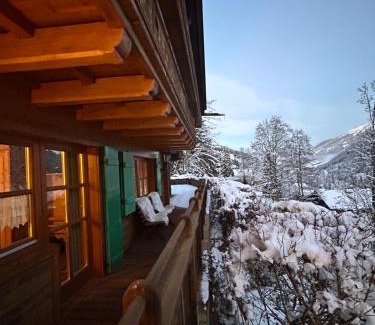 Hinterglemm House | Chalet Glemm Alpin