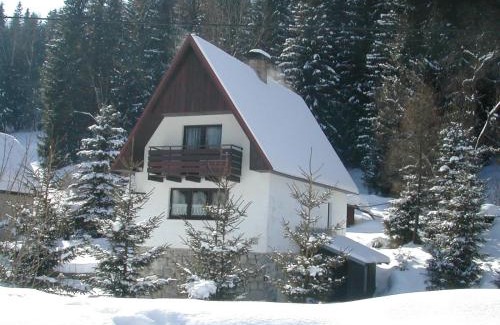 Nove Hamry Ski Chalet | Chalet Helena