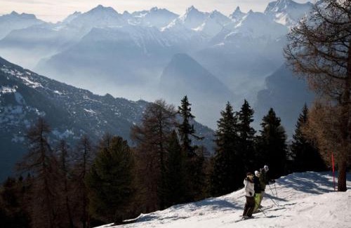 Les Mayens-de-Sion Ski Chalet | Chalet in Les Agettes near ski area