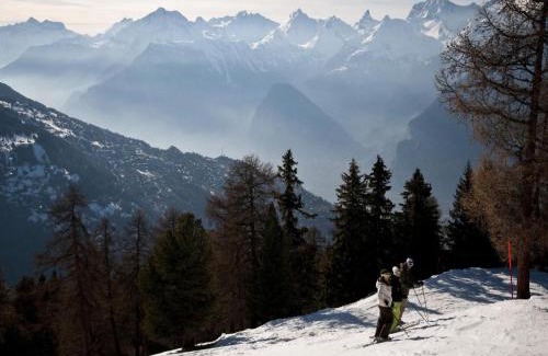 Les Mayens-de-Sion Ski Chalet | Chalet in Les Agettes near ski area