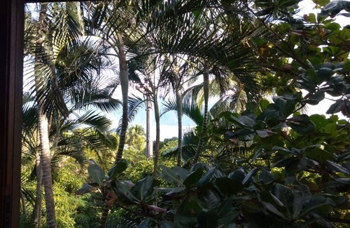Siriuba Ski Chalet | Chalet in Siriúba - Ilhabela - Spectacular panoramic view to the Sea