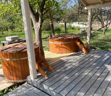 Palyanytsya House | Chalet Ivanna