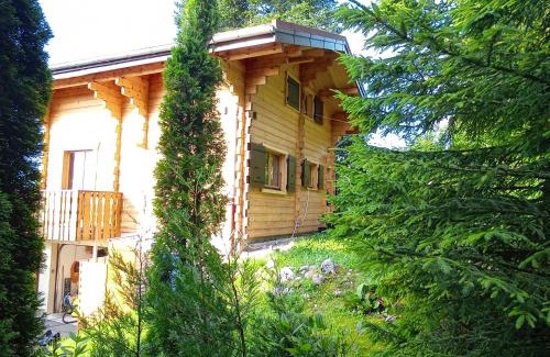 Thollon-les-Memises Ski Chalet | Chalet La Trouvaille
