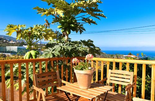 La Mancha House | Chalet Las Viñas 2