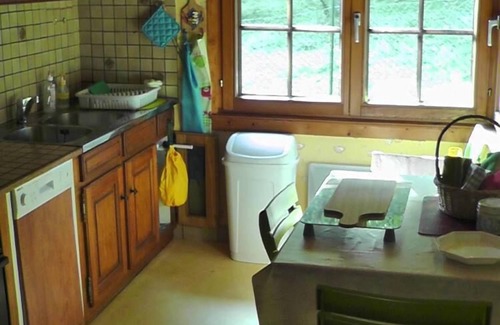 Lautenbachzell Ski Chalet | Chalet - Lautenbachzell House with garden