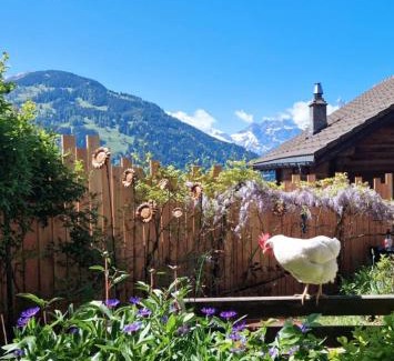 Les Posses-sur-Bex Ski Chalet | Chalet le Muveran