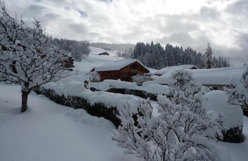 Crest-Voland Apartment | Chalet Le Starfu