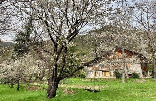 Valdeblore Bed & Breakfast | Chalet Le Tilleul