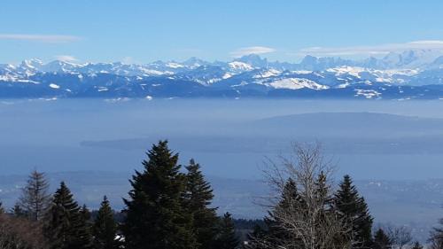 Lamoura Ski Chalet | CHALET LES EPILOBES