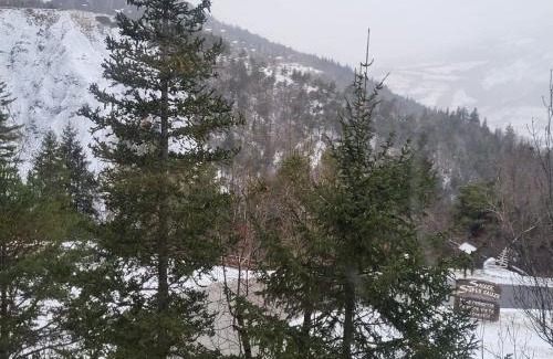 Le Sauze Ski Chalet | chalet LES GRANDES TERRES