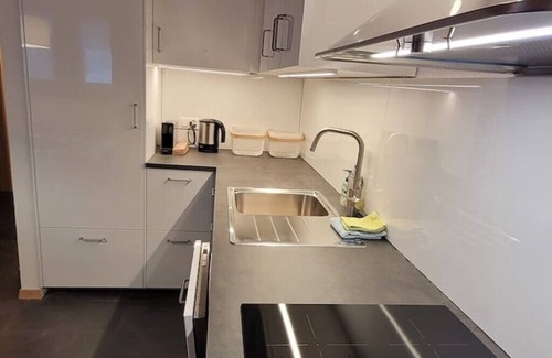 Obergesteln Apartment | Chalet Meise