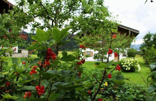 Blindau Apartment | Chalet Menkenhof