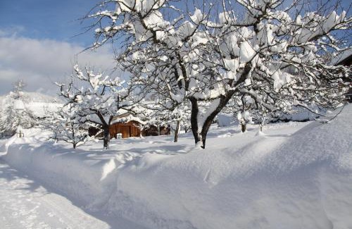 Blindau Apartment | Chalet Menkenhof