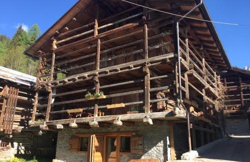 Falcade Apartment | Chalet nel cuore delle Dolomiti