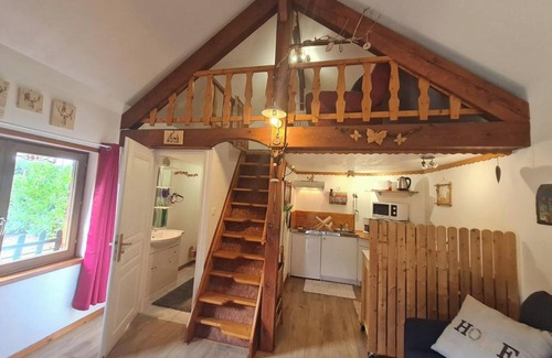 Anould Ski Chalet | Chalet Nina
