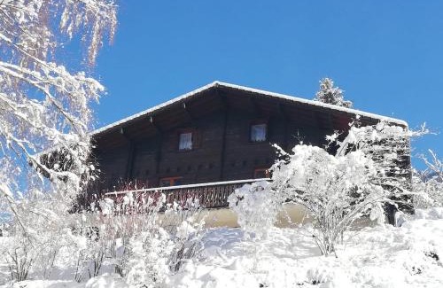 Entremont Ski Chalet | Chalet Paolina proche le Grand Bornand et la Clusaz
