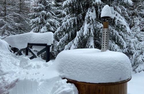 Jamnik Ski Chalet | Chalet Račkova dolina