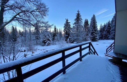 Premanon Ski Chalet | Chalet Rustique sur les Pistes