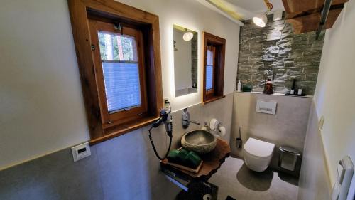 Bad Vigaun Ski Chalet | Chalet SonnSeitn