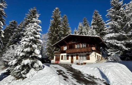 Blausee Apartment | Chalet Spatz Garden near Oeschinen Lake