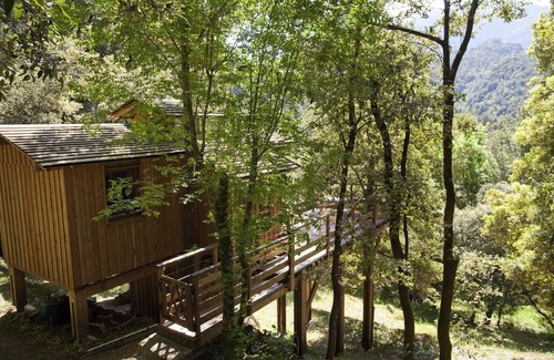 Chisa Ski Chalet | Chalet style cabin, built in the trees, away from the bustle, between sea and mountains