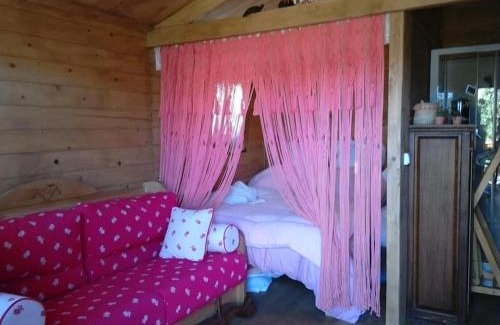 La Mure Argens Ski Chalet | Chalet sur Pilotis Ane'ita de l'Arbenquens