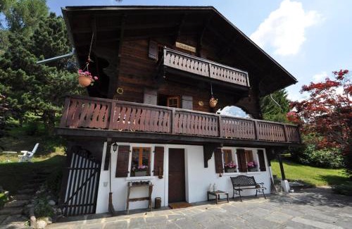 Les Posses-sur-Bex Ski Chalet | Chalet Tendre est la Nuit à Gryon - 6 personnes, belle vue, tout confort
