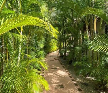 La Iglesia Ski Chalet | Chalet tropical au cœur de Las Terrenas