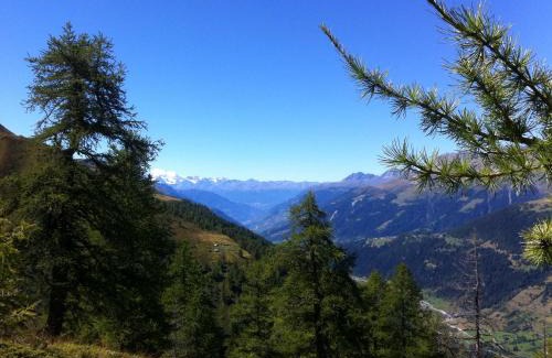 Ulrichen Ski Chalet | Chalet Truffer Ulrichen