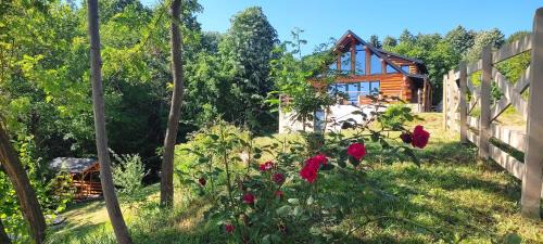 Varfuri Ski Chalet | Chalet Ursa Mare