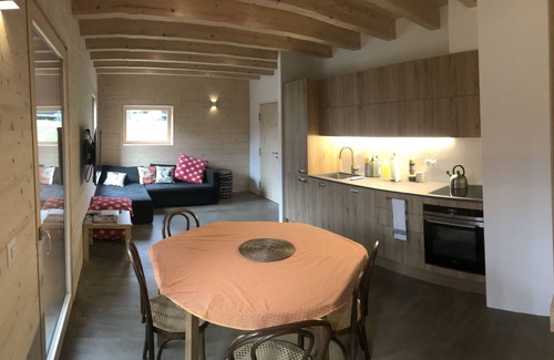 Ormont-Dessus Ski Chalet | Chalet Vicky and Nino nice new apartment
