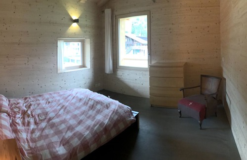Ormont-Dessus Ski Chalet | Chalet Vicky and Nino nice new apartment