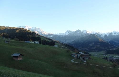 Lenk Apartment | Chalet Weissenberg