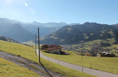 Lenk Apartment | Chalet Weissenberg