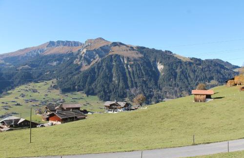 Lenk Apartment | Chalet Weissenberg
