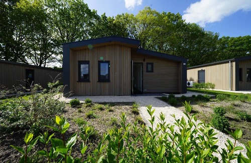 Kaatsheuvel House | Chalet with 3 bedrooms and a terrace