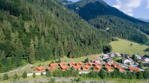 Maishofen Resort | Chaletdorf ZellerSee