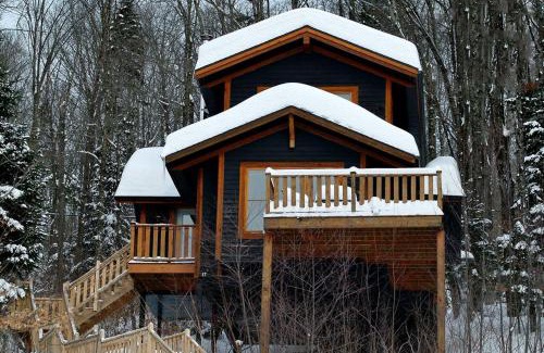 Stoneham Ski Chalet | Chalets Alpins - 17 Chemin Alpin